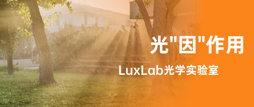觅机科技AI照明技术赋能党群服务,智慧照明方案获高度认可